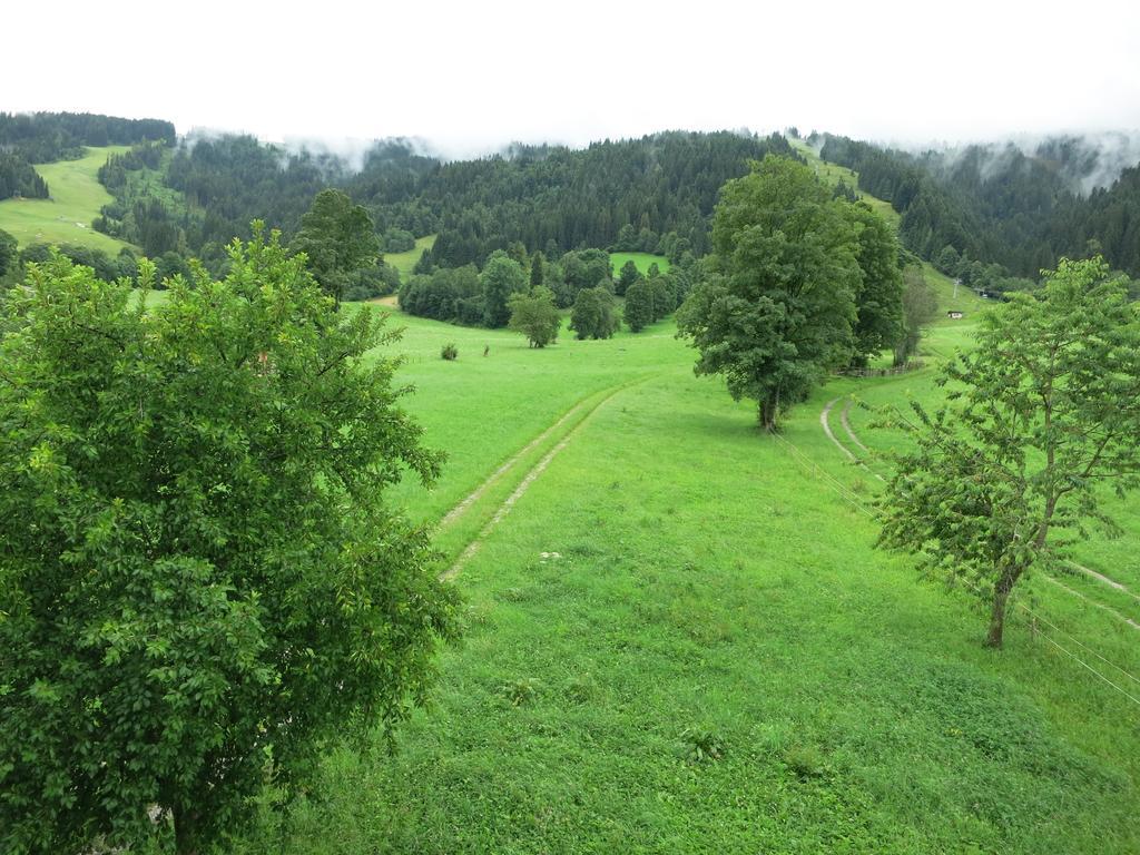 Ferienwohnungen Marchanger Niederau Habitación foto